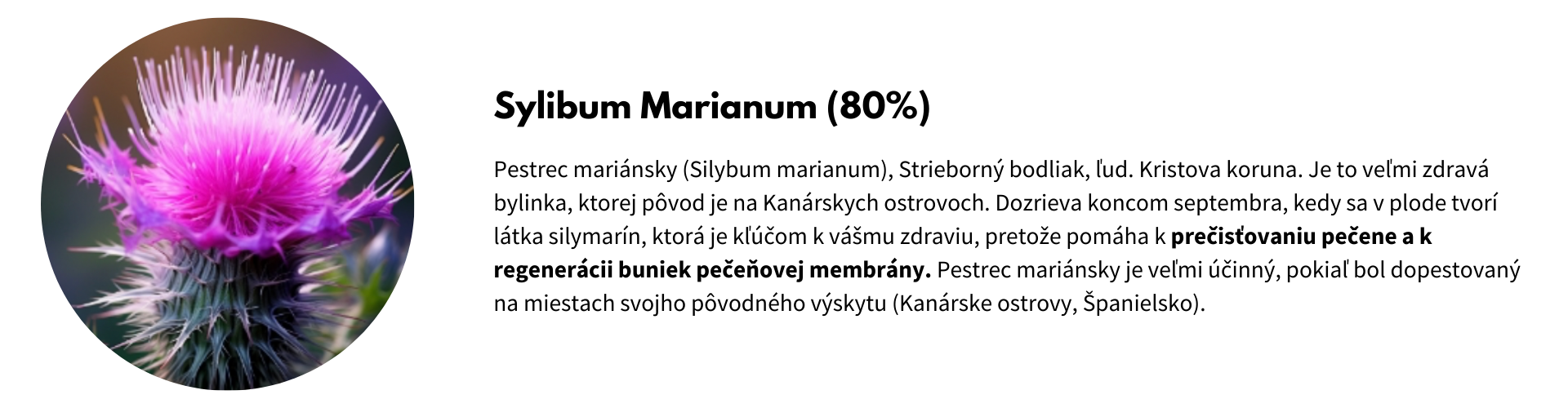 extrakty (2)